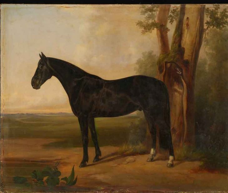 Сверчков Н.Е. «Ловкий 2-ой»,(1846-47г.), х., м., 84,5х102,5см